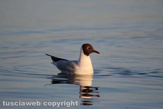 WhatsApp-Image-2021-02-24-at-22.38.46-(1)