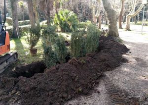 Vetralla - La manutenzione del verde a villa Canonica