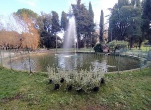 Vetralla - La manutenzione del verde a villa Canonica