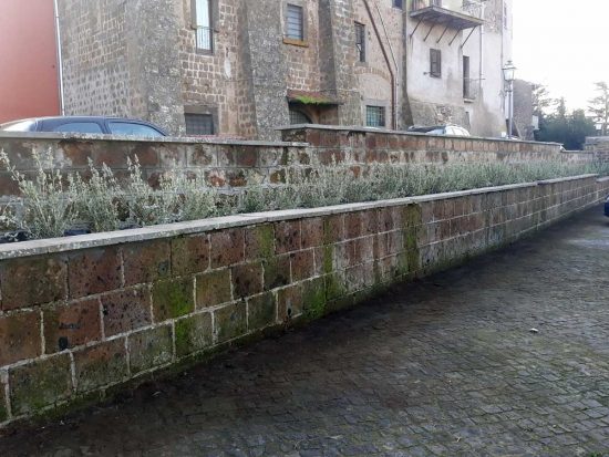 Vetralla - Interventi al verde pubblico