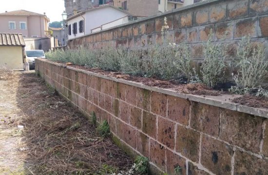 Vetralla - Interventi al verde pubblico