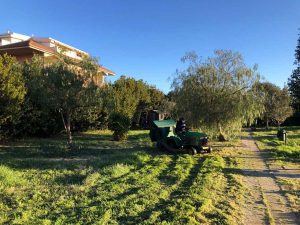 Civitavecchia - Lavori di manutenzione del verde