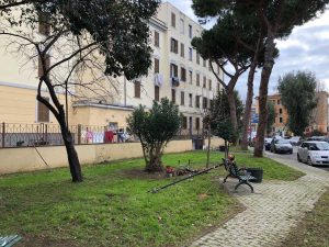 Civitavecchia - Via Calisse - Lavori di manutenzione del verde