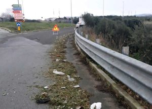 Civitavecchia - Zona industriale - Lavori di manutenzione del verde