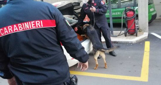 I controlli dei carabinieri con l'unità cinofila
