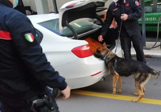 I controlli dei carabinieri con l'unità cinofila