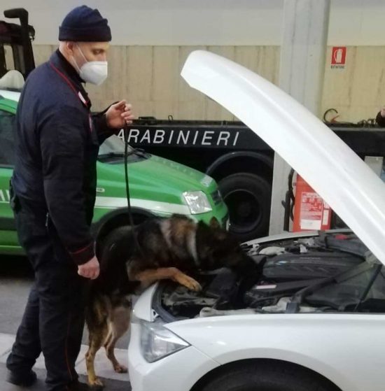 I controlli dei carabinieri con l'unità cinofila