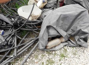 Viterbo - Rifiuti in strada San Lazzaro