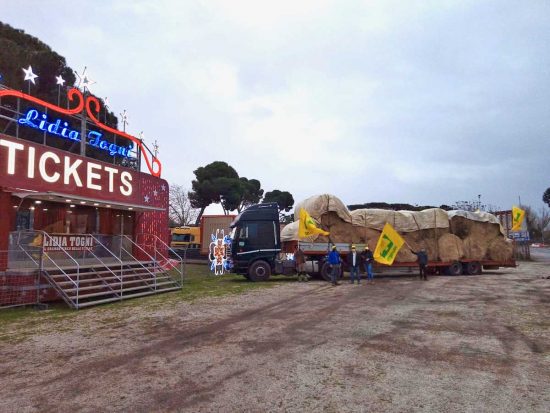 La donazione di fieno ai circhi