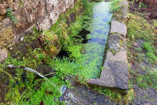 Vejano - Un fontanile