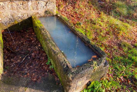 Vejano - Un fontanile