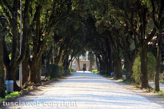 Viterbo - Lavori in corso a pratogiardino Lucio Battisti