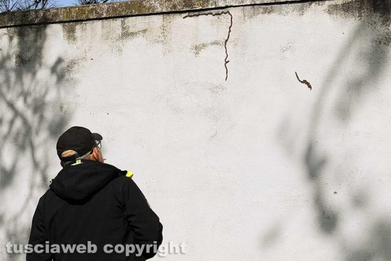 Tempo di primavera e di... processionarie