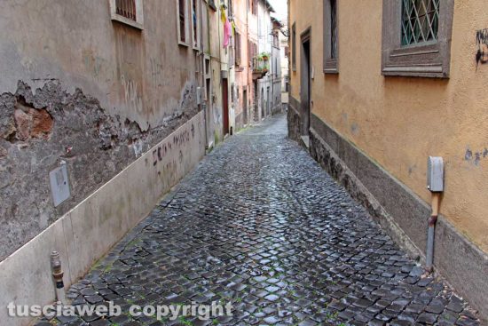 Viterbo - L'ortica tagliata nei quartieri del centro storico