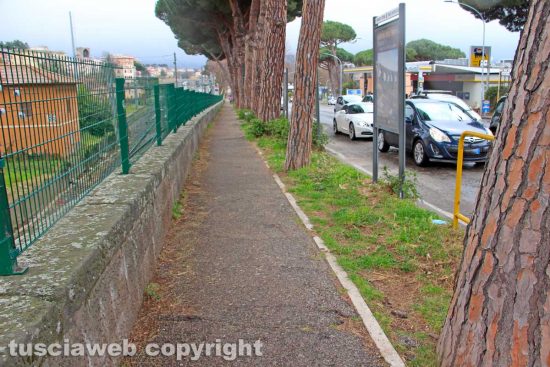Viterbo - L'erba tagliata lungo il viale della stazione di Porta romana