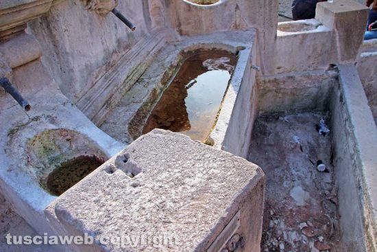 Viterbo - La fontana di piazza della Rocca