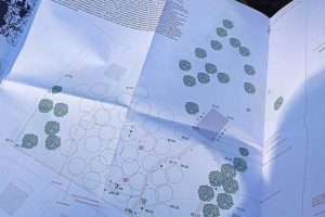 Viterbo - I lavori al parco Norma Cossetto