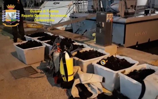 Civitavecchia - i 12mila ricci di mare sequestrati