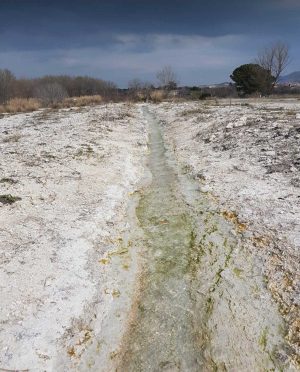 L'acqua al Bullicame 