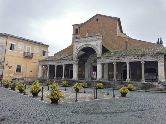 Civita Castellana - Le fioriere con le mimose in centro, in occasione dell'8 marzo