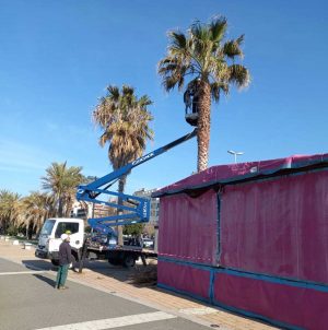 Potature in viale Garibaldi