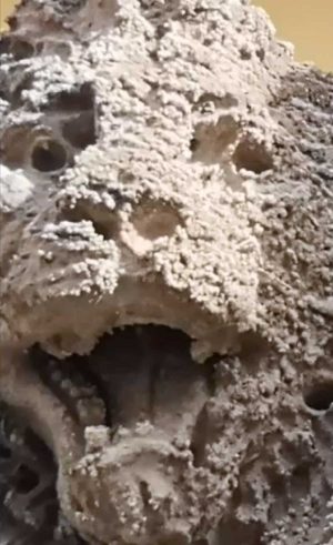 Il Leona della fontana a piazza delle Erbe