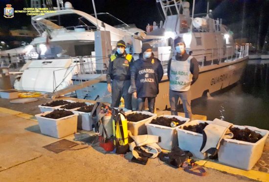 Civitavecchia - i 12mila ricci di mare sequestrati