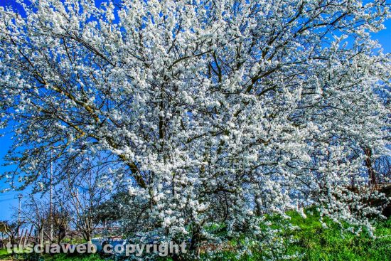 WhatsApp-Image-2021-03-01-at-10.20.17