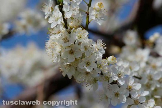 WhatsApp-Image-2021-03-12-at-01.02.51-(1)