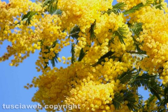 WhatsApp-Image-2021-03-12-at-01.02.51