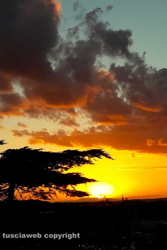 WhatsApp-Image-2021-03-14-at-18.19.45