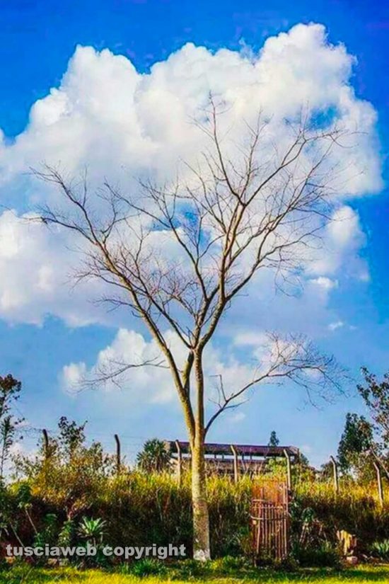 WhatsApp-Image-2021-03-21-at-20.20.50-(2)