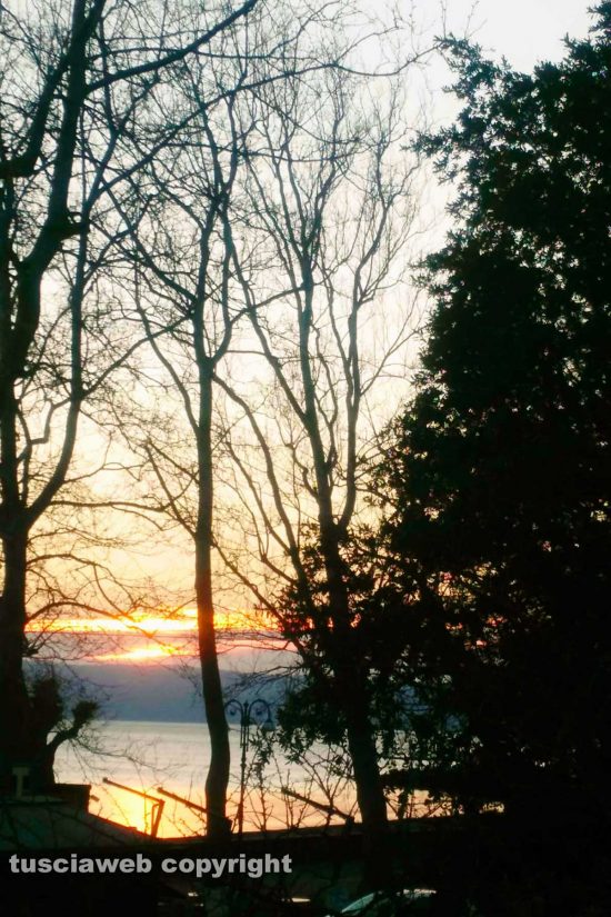 WhatsApp-Image-2021-03-21-at-20.20.50