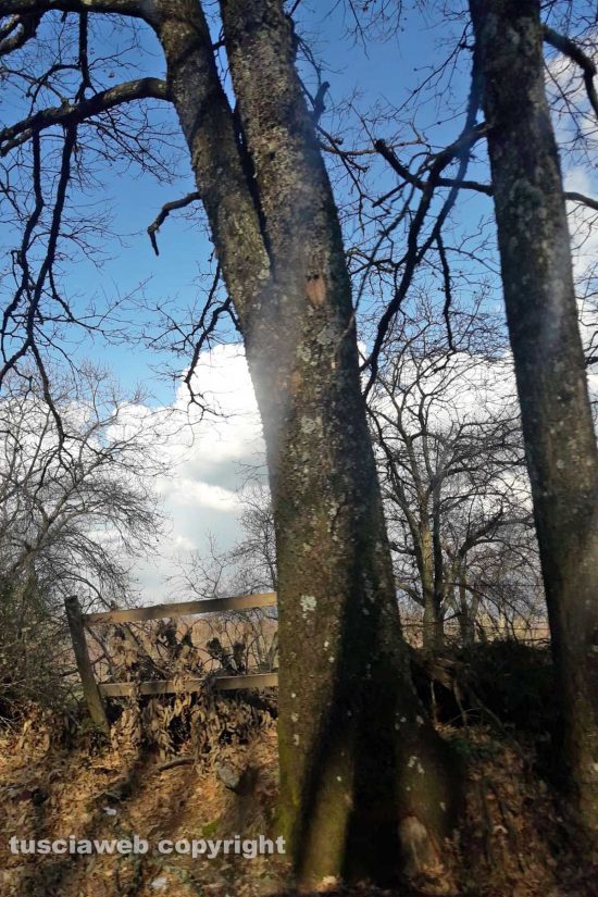 WhatsApp-Image-2021-03-23-at-22.10.38-(1)