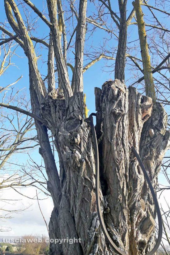 WhatsApp-Image-2021-03-23-at-22.11.46