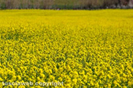 WhatsApp-Image-2021-03-24-at-07.04.57