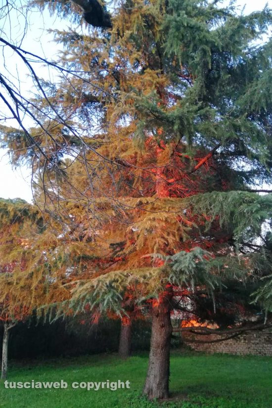 WhatsApp-Image-2021-03-26-at-09.34.22-(2)