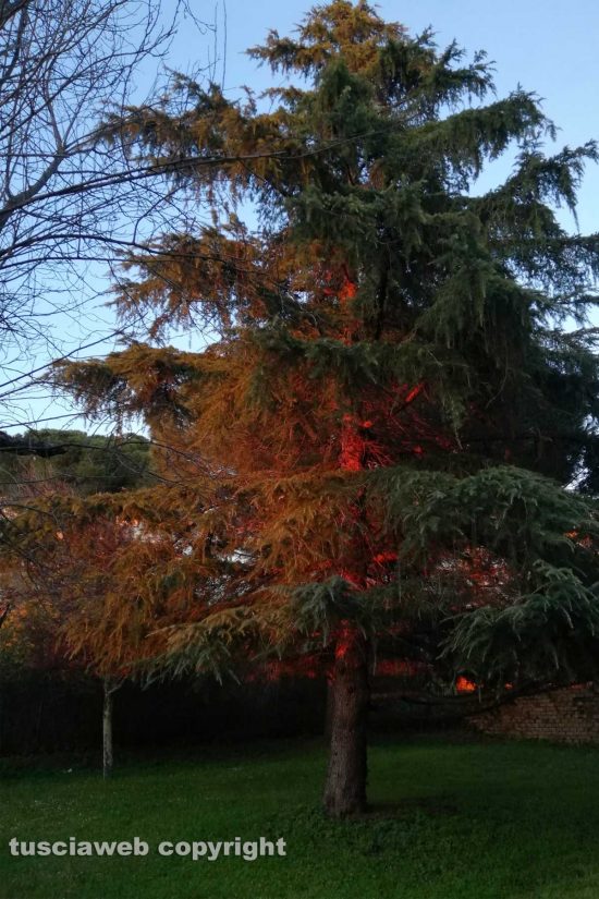 WhatsApp-Image-2021-03-26-at-09.34.22