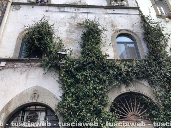 Viterbo - Degrado in città