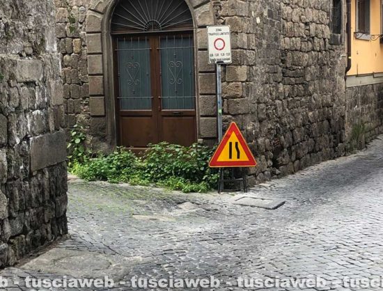 Viterbo - Erbacce in centro