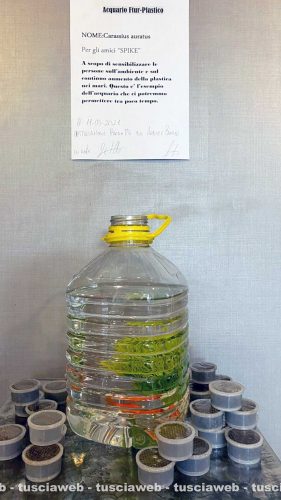 Viterbo - L'installazione dell'artista Andrea Zanobi