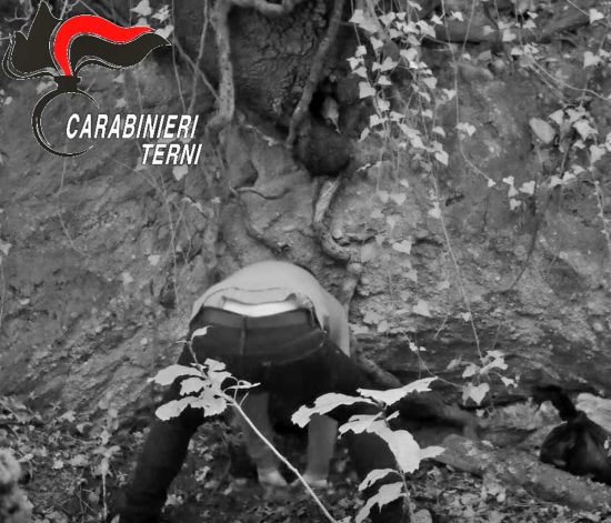 Carabinieri - Terni - Cocaina nascosta nel bosco