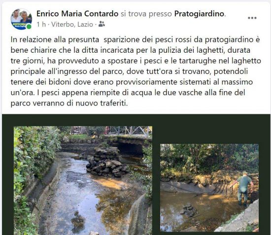 Il post dell'assessore Enrico Maria Contardo sui pesci e le tartarughe spostate dal laghetto di Anna di Pratogiardino