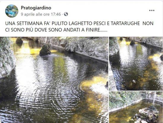 Il post pubblicato sulla pagina Facebook Pratogiardino a testimonianza della mancata presenza degli animali nel laghetto di Anna