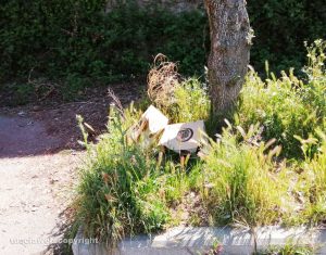 Viterbo - Rifiuti nel piazzale retrostante lo stadio E. Rocchi