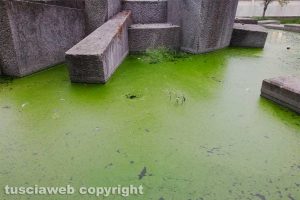 Viterbo - Incuria nella fontana della Sfera