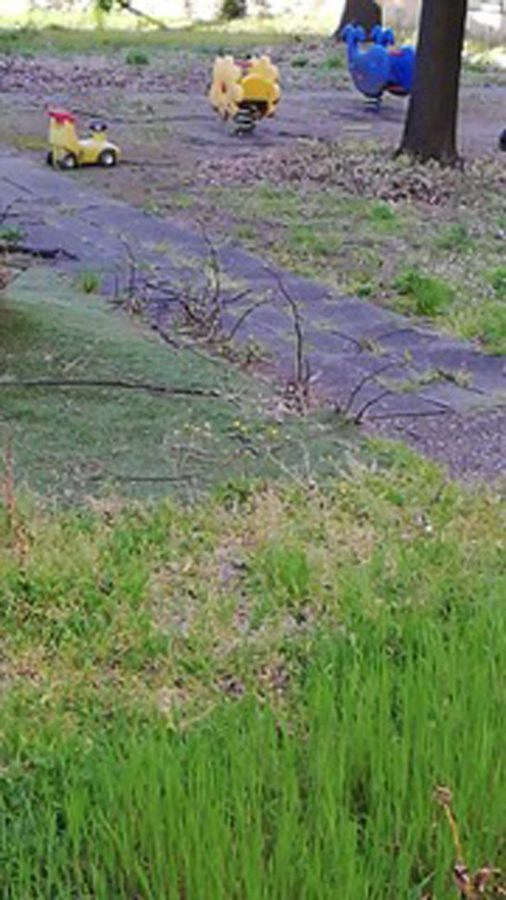 I giardinetti dell’asilo Nido I Cuccioli