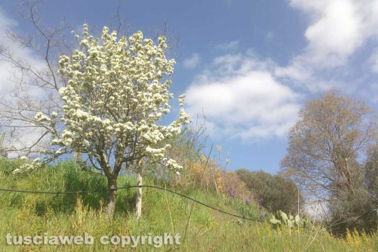 Schermata-2021-04-07-alle-10.10.01