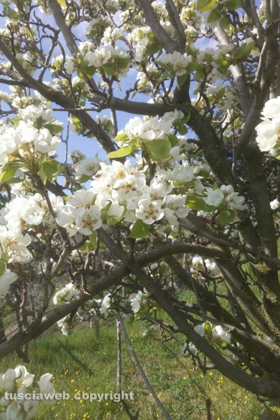 Schermata-2021-04-07-alle-10.10.03