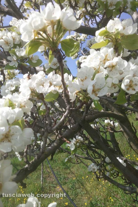 Schermata-2021-04-07-alle-10.10.06